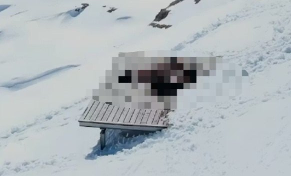 [뉴스] “엄청 추울 텐데”…알프스 날씨 보려다 ‘알몸 커플’ 애정행각 깜짝목격