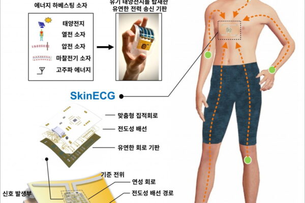 [뉴스] 팔에서 만든 전기, 무선으로 가슴까지…배터리 없는 심전도 센서 나왔다