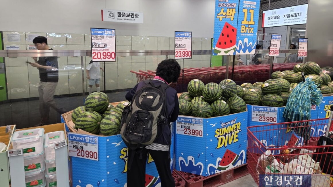 [뉴스] 아직 5월인데 벌써?…한 통 3만원 금수박 이유 알고 보니 [장바구니+]