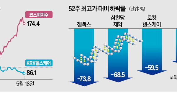 [뉴스] 그냥 삼전닉스나 사둘걸…줄줄이 마이너스 개미 눈물