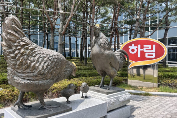 [뉴스] 닭고기 회사 맞아?”…즉석밥·라면까지 만드는 하림의 변신