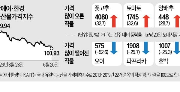 [뉴스] 이른 무더위에 … 풋고추·토마토 가격 뛰어