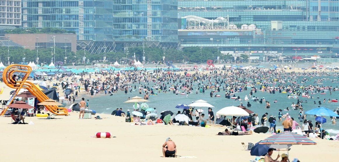 [뉴스] 정부 외국인 유치 칼 뺐다…경주·해운대 글로벌 관광특구 선정