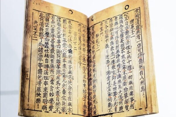 [뉴스] AI 시대, 빠른 추격자 전략 끝…이것 못하면 도태, 신간 