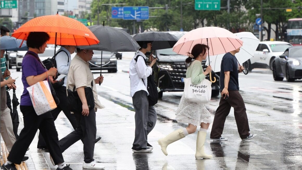 [뉴스] 전국 곳곳 장맛비…시간당 50㎜ 폭우 주의