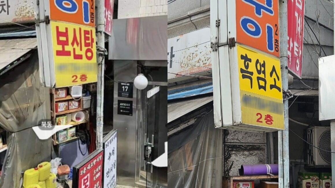 [뉴스] 60년간 먹어왔는데…마지막 복날 대목 보신탕 골목 풍경
