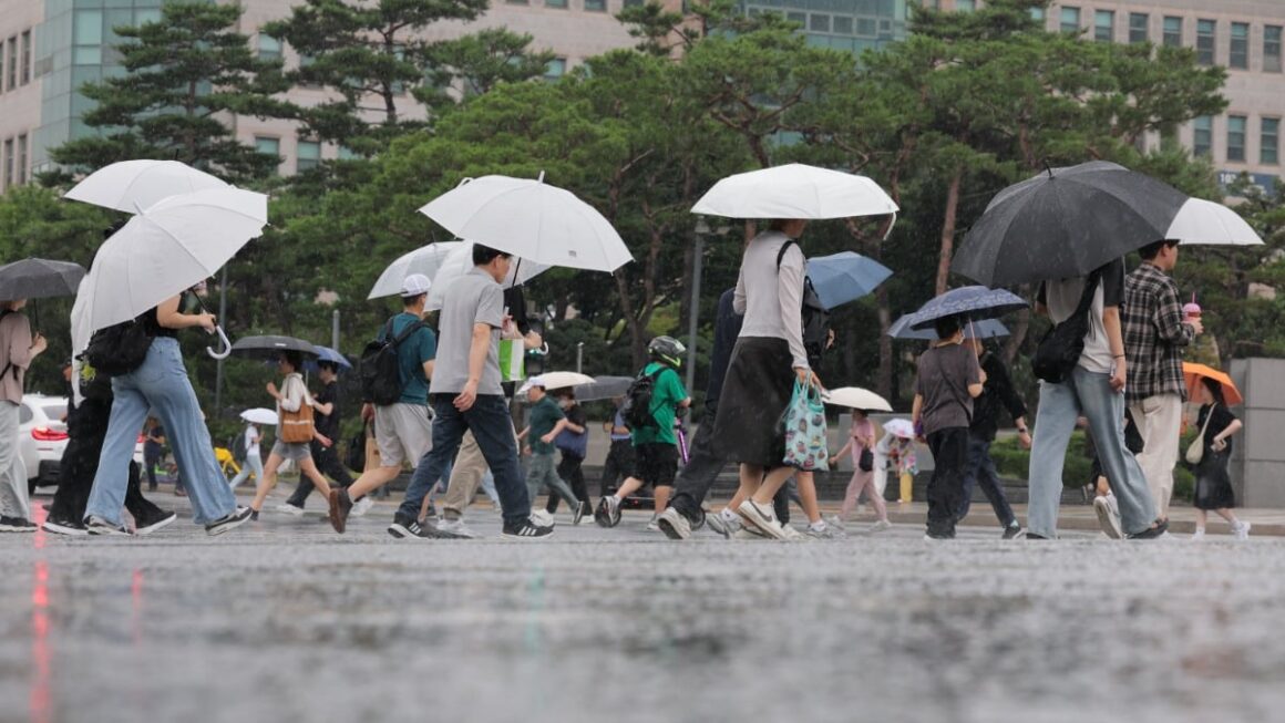 [뉴스] 우산 챙기세요 전국 장맛비…낮 최고 34도 무더위 계속