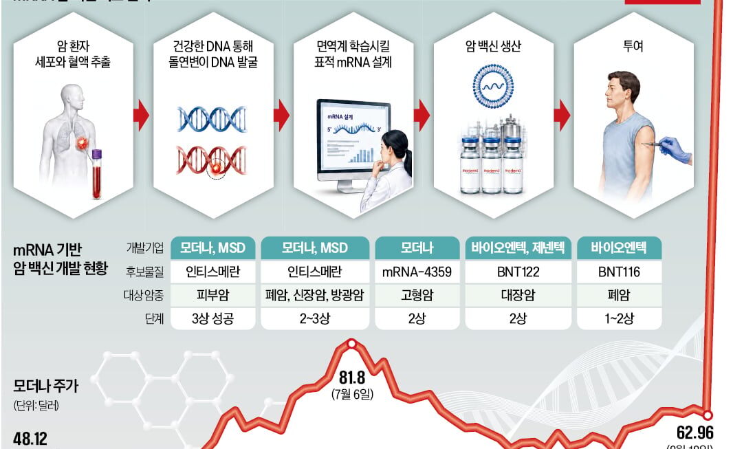 [뉴스] 1000명의 암, 1000개의 백신…항암도 환자 맞춤형으로 진화