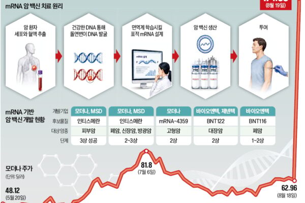 [뉴스] 1000명의 암, 1000개의 백신…항암도 환자 맞춤형으로 진화