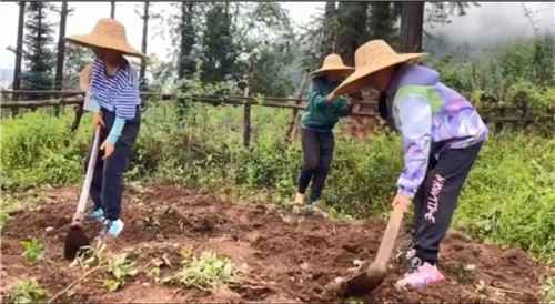[뉴스] “휴대폰만 보는 우리 애 좀 고쳐주세요”…中서 뜨는 200만원짜리 ‘고생 캠프’