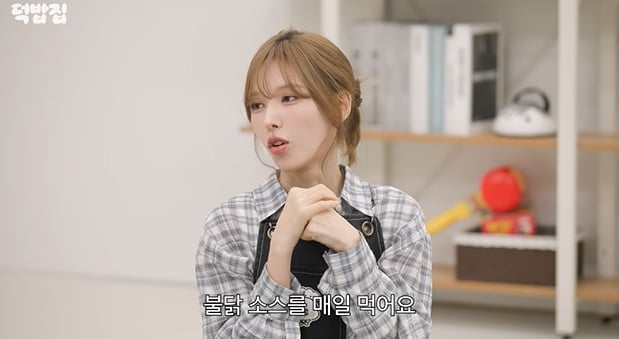 [뉴스] 불닭소스 매일 먹는다는 웬디…건강엔 괜찮은지 살펴보니