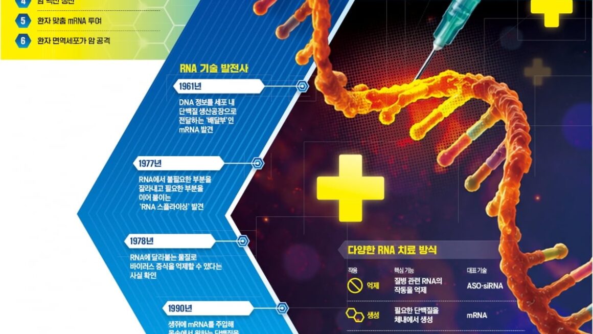 [뉴스] 질병 줄이더니 암까지 잡는다…RNA 치료제, 28년 무한진화