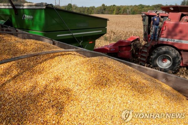 [뉴스] “올해 주식·금만 오른 게 아니었네”…역대급 풍년인데 곡물값 급등, 무슨 일?