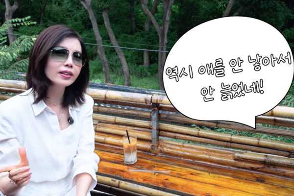 [뉴스] 애 안 낳아서 안 늙어…김혜수 사진 댓글에 백지연 반응