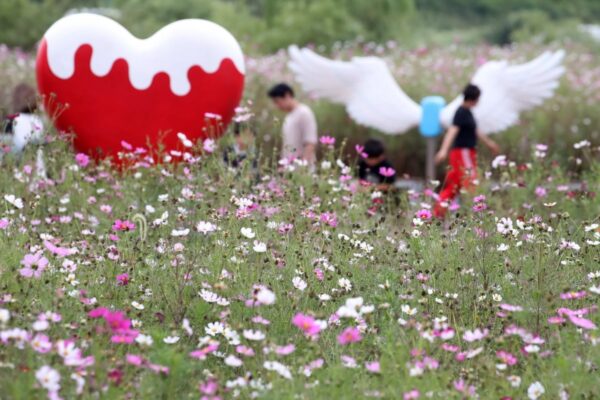 [뉴스] 동해안 중심 비…내륙은 일교차 10~15도