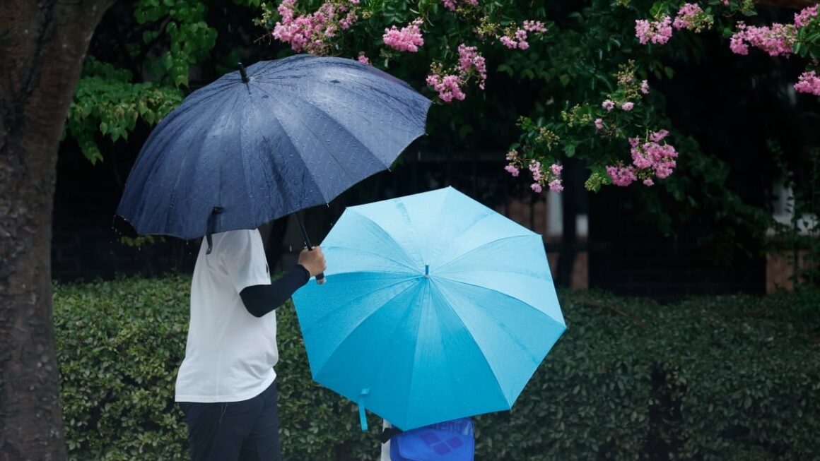[뉴스] 연휴 마지막 날 우산 챙기세요…전국 곳곳 소나기