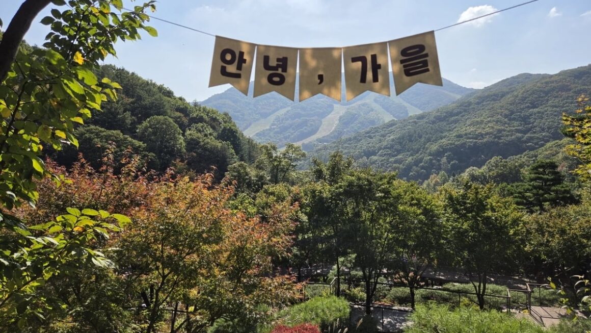 [뉴스] 온 가족 합쳐 100년 썼어요…LG유플 화담숲 통째로 빌린 까닭