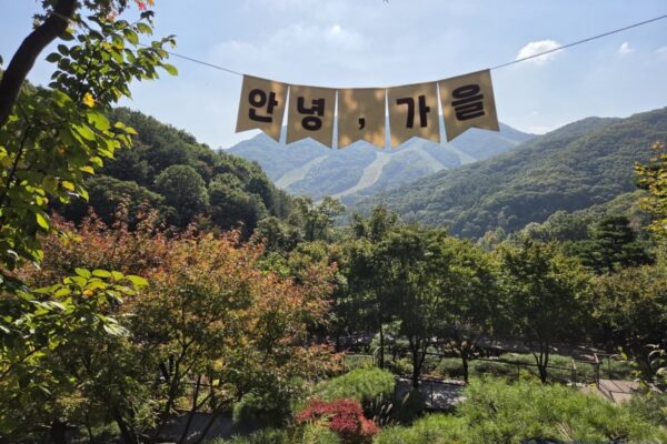 [뉴스] 온 가족 합쳐 100년 썼어요…LG유플 화담숲 통째로 빌린 까닭