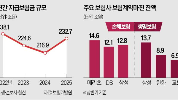 [뉴스] 보험사 이익 부풀리기에 칼 빼든 금감원