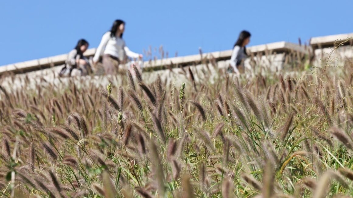 [뉴스] 아침 6도·낮 25도 널뛰기…개천절 겉옷 챙기세요