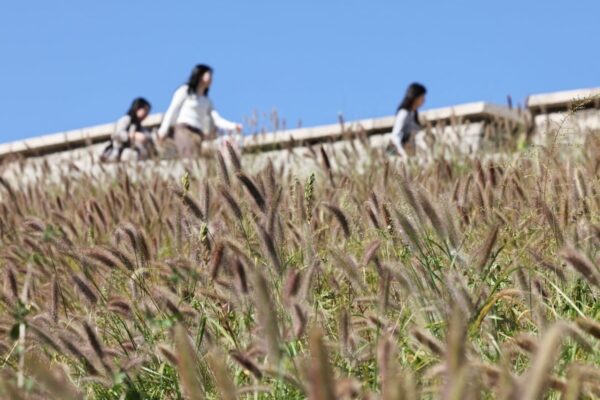 [뉴스] 아침 6도·낮 25도 널뛰기…개천절 겉옷 챙기세요