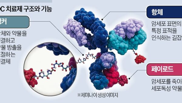 [뉴스] 더 정밀하게…유도탄 항암제 개발 경쟁