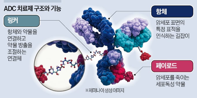 [뉴스] 더 정밀하게…유도탄 항암제 개발 경쟁