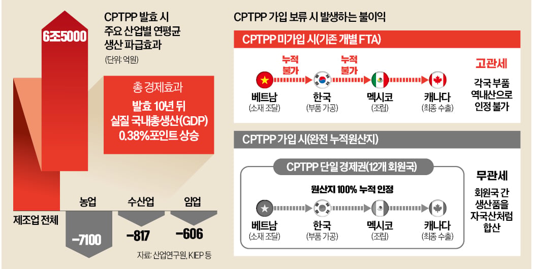 [뉴스] 4번째 CPTPP 가입 시도, 또 급제동…1년 밀리면 6조 기회 손실